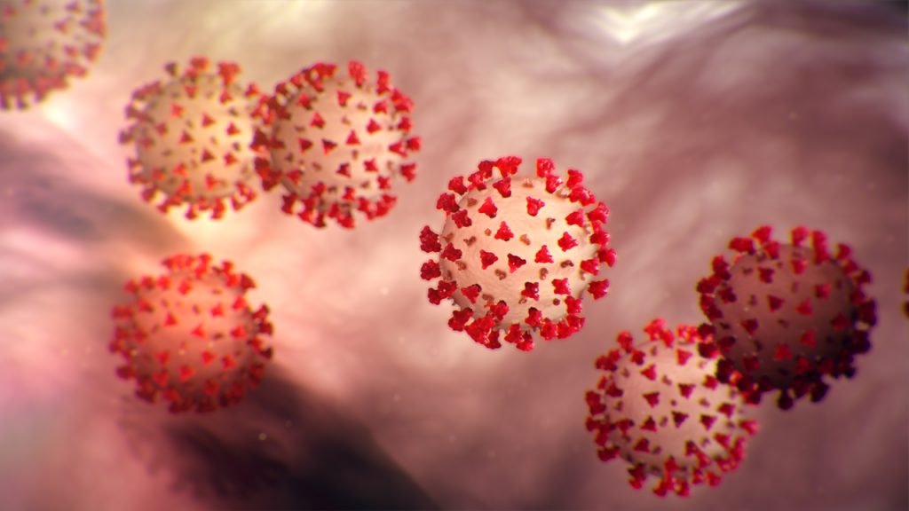 Coronavirus (Image: CDC)