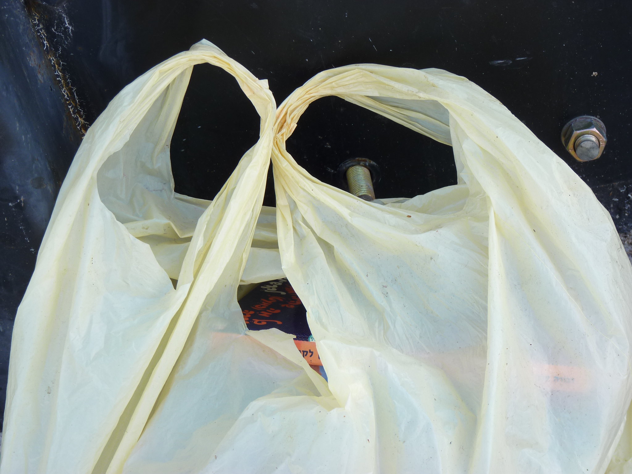 Plastic bag. (Credit: zeevveez/ Flickr)