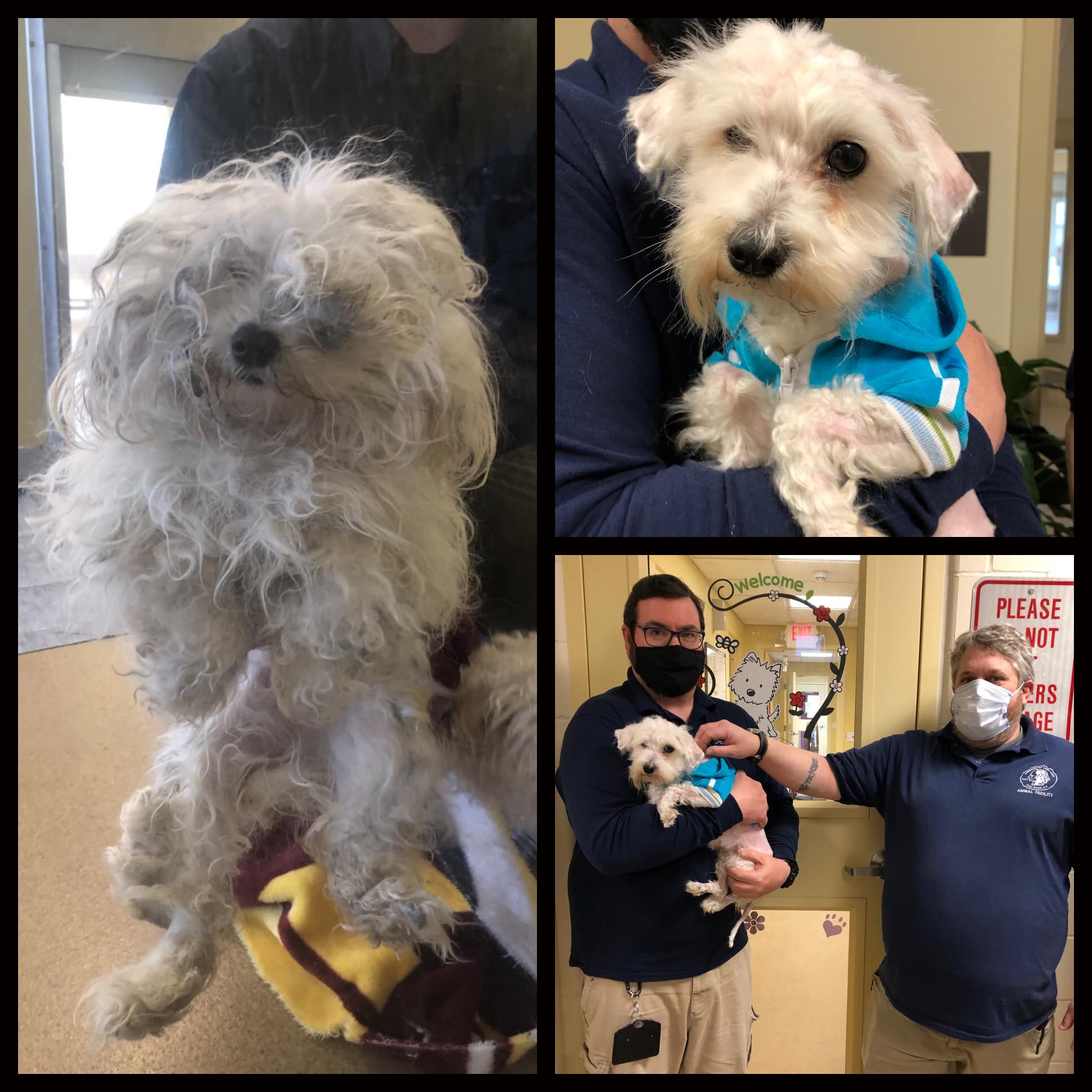 Two dogs found abandoned outside the Ocean County Mall, March 13, 2021. (Photo: TRPD)