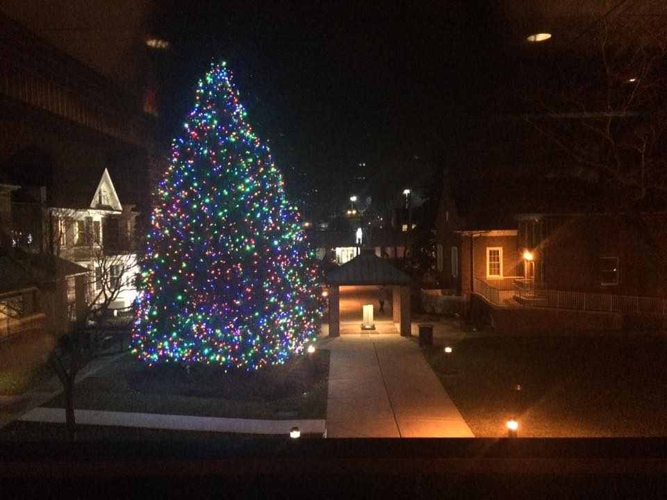 Archive photo, downtown Toms River lit holiday tree. (photo by Catherine Galioto)