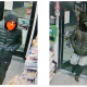 Suspects in the robbery of a Toms River convenience store, Jan. 18, 2022. (Photo: Daniel Nee)